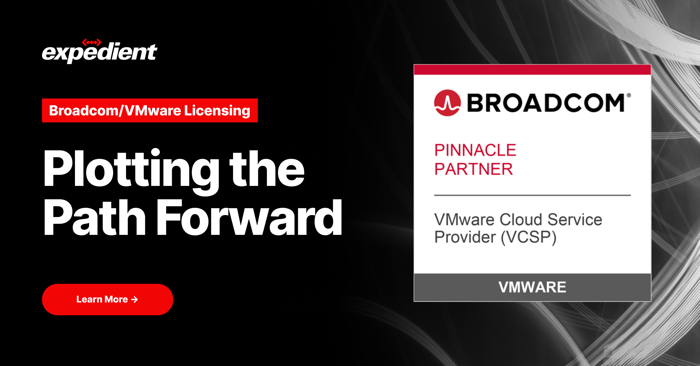 Broadcom/VMware Licensing - Expedient